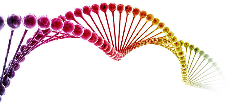 Medical and Comprehensive Healthcare